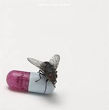 Red Hot Chili Peppers - I'm With You - CD