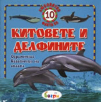 10 любопитни факта за китовете и делфините: Огромните бозайници на океана