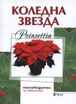 Коледна звезда - пътеводител за любителя