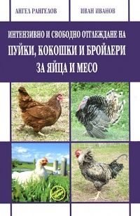 Интензивно и свободно отглеждане на пуйки, кокошки и бройлери за яйца и месо