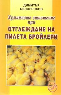 Хуманното отношение при отглеждане на пилета бройлери