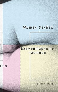 ЕЛЕМЕНТАРНИТЕ ЧАСТИЦИ