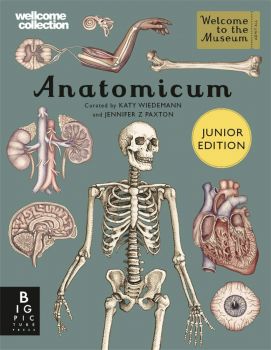 Anatomicum Junior - Jennifer Z Paxton - 9781787416543 - Big Picture Press - Онлайн книжарница Ciela | ciela.com