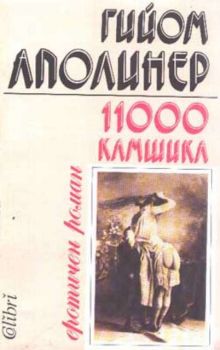 11000 камшика