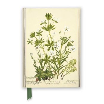 Бележник Flame Tree - Charlotte Cowan Pearson - Stitchworts, Woodruff and Pepperwort - 9781839648960 - Онлайн книжарница Ciela | ciela.com