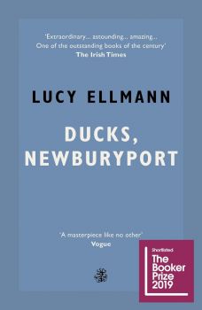 Ducks, Newburyport