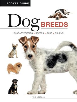 Dog Breeds - Tom Jackson - Amber Books - 9781838866075 - Онлайн книжарница Ciela | ciela.com