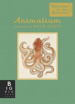 Animalium - Mini Gift Edition - Welcome To The Museum Series - 9781783706112 - Jenny Broom - Big Picture Press - Онлайн книжарница Ciela | ciela.com