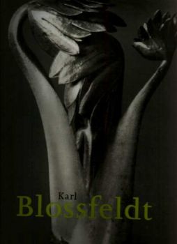 Karl Blossfeldt