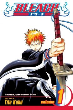 Bleach - Vol. 1 - VIZ Media LLC - Tite Kubo - 9781591164418 - Онлайн книжарница Ciela | ciela.com