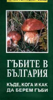 Гъбите в България: Къде, кога и как да берем