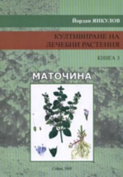 Култивиране на лечебни растения, книга 3/ Маточина