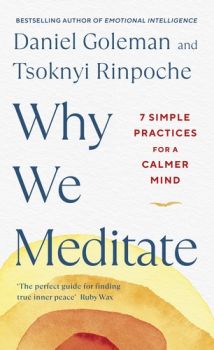 Why We Meditate - Daniel Goleman, Tsoknyi Rinpoche - Penguin Life - 9780241527870 - Онлайн книжарница Ciela | ciela.com