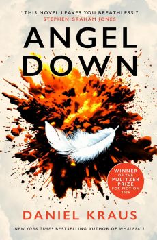 Angel Down - Daniel Kraus - 9781835415382 - Онлайн книжарница Ciela | ciela.com