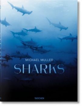 Sharks - Michael Muller