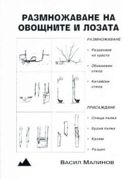 Размножаване на овощните и лозата