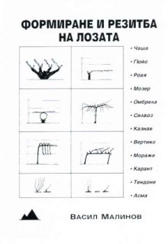 Формиране и резитба на лозата