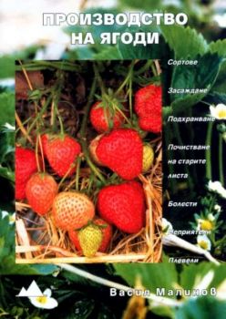 Производство на ягоди