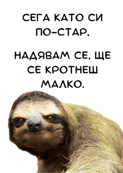 Картичка -Сега като си по-стар - 1112358019 - АЙ ДИ ЕФ АКАДЕМИ ЕООД - Онлайн книжарница Ciela | ciela.com