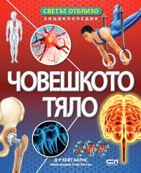 Светът отблизо - Човешкото тяло - Кейт Барнс - СофтПрес - 9786192741648 -  Онлайн книжарница Сиела | Ciela.com