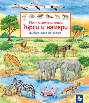 Търси и намери - Животните по света - Сузане Гернхойзер - 9786197241730 - Мармот - Онлайн книжарница Ciela | ciela.com