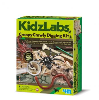 Детска лаборатория - Пълзящи буболечки - 4893156033970 - 4M - Онлайн книжарница Ciela | ciela.com