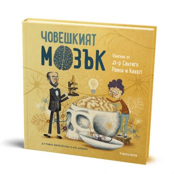 Човешкият мозък - Д-р Пабло Баречегурен - Timelines - 9786197727166 - Онлайн книжарница Ciela | ciela.com