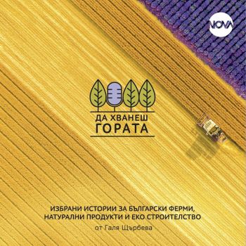 Да хванеш гората - част 2 - Галя Щърбева - 9786199003633 - Онлайн книжарница Ciela | ciela.com