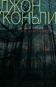 Силите на тъмнината - Джон Конъли - 9786192433673 - Прозорец - Онлайн книжарница Ciela | ciela.com