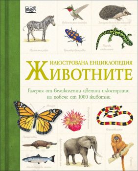 Животните - илюстрована енциклопедия - 3800083818069 - Фют - 3800083818069 - 3800083818069 - Онлайн книжарница Ciela | ciela.com