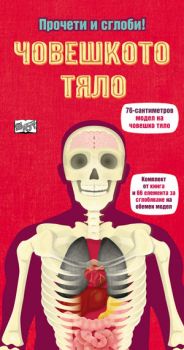 Прочети и сглоби! - Човешкото тяло - 3800083813477 - Фют - Онлайн книжарница Ciela | ciela.com