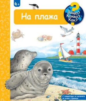 Защо? Какво? Как? - на плажа - Фют - 3800083837923 - Онлайн книжарница Ciela | ciela.com