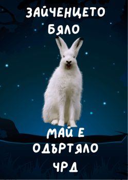Картичка - Зайченцето бяло май е одъртяло - 1112358001 - АЙ ДИ ЕФ АКАДЕМИ ЕООД - Онлайн книжарница Ciela | ciela.com
