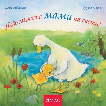 Игра на криеница - Тулин и Хес 2 - Сьорен Свайструп - 9789543576807 - Емас - Онлайн книжарница Ciela | ciela.com