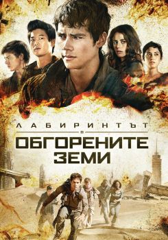 ЛАБИРИНТЪТ - ОБГОРЕНИТЕ ЗЕМИ DVD