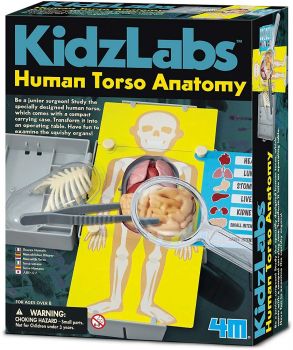 Образователен комплект 4M KidzLabs - Анатомия на човешкото тяло - Джи Би Груп АД  - онлайн книжарница Сиела | Ciela.com