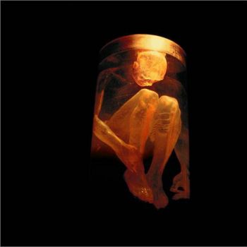 ALICE IN CHAINS - NOTHING SAFE