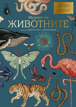 Музеят на ЖИВОТНИТЕ - 	Кейти Скот и Джени Брум - 9786197639582 - Benitorial - Онлайн книжарница Ciela | ciela.com