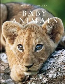 Baby Animals - Michael Poliza - teNeues Verlag - 9783961711413 - Онлайн книжарница Ciela | ciela.com