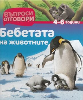 Бебетата на животните 4-6 години/ Въпроси и отговори