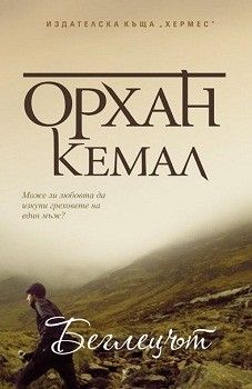 Господарката на чифлика: Беглецът - книга 3 