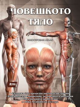 Човешкото тяло - Илюстрован атлас - Атеа Букс - 9786197280654 - онлайн книжарница Сиела | Ciela.com