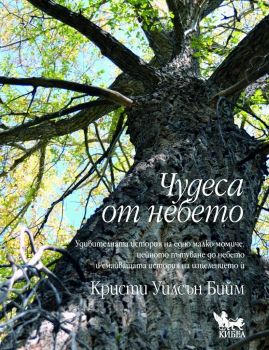 Чудеса от небето - Кристи Уилсън Бийм - Кибеа - онлайн книжарница Сиела | Ciela.com