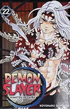Demon Slayer Kimetsu no Yaiba - Vol. 22