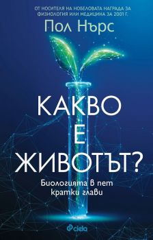 Е-книга Какво е животът