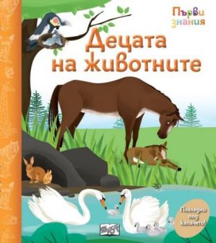 Първи знания - Погледни под капачето - децата на животните - 3800083838517 - Фют - Онлайн книжарница Ciela | ciela.com