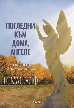 Погледни към дома, ангеле - Томас Улф - Екрие - онлайн книжарница Сиела | Ciela.com