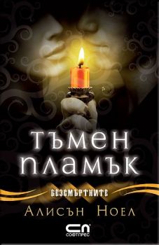 Тъмен пламък е-книга