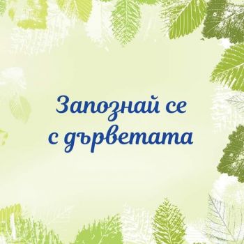 Запознай се с дърветата