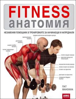 Fitness анатомия